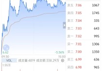 今天对持仓股做了三波极限做T骚操作